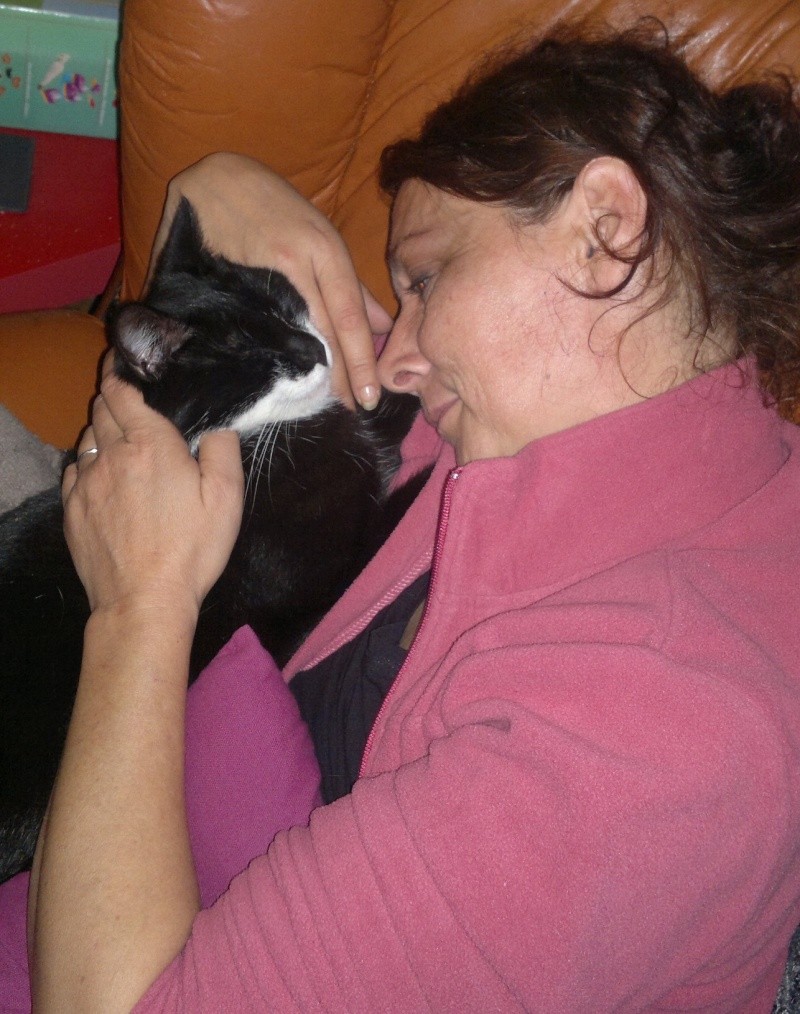 Icare, Jojo (Jocaste), Chouby (Jojue) et Lulu (Lupin) C6784910