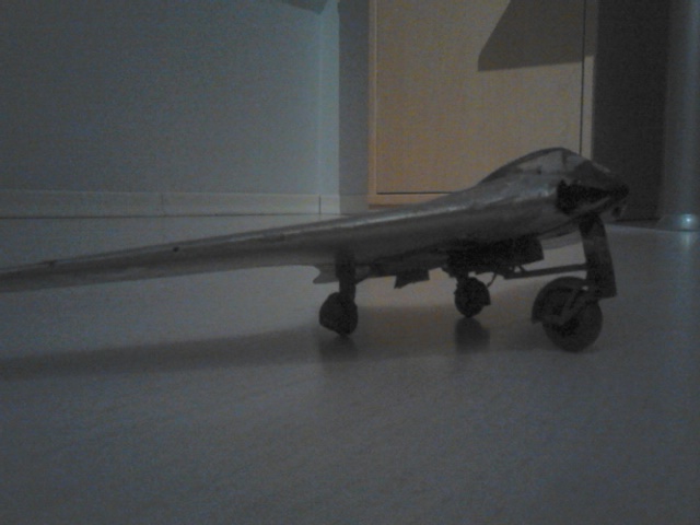 Horten go 229 revell : Dsc_2016