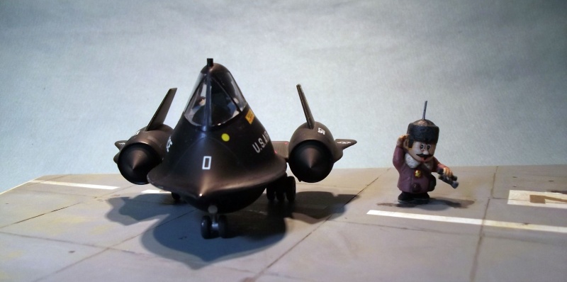 [Hasegawa] SR71 Egg Plane Sr71_211