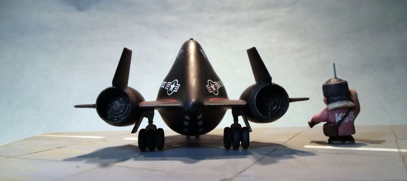 [Hasegawa] SR71 Egg Plane Sr71_213