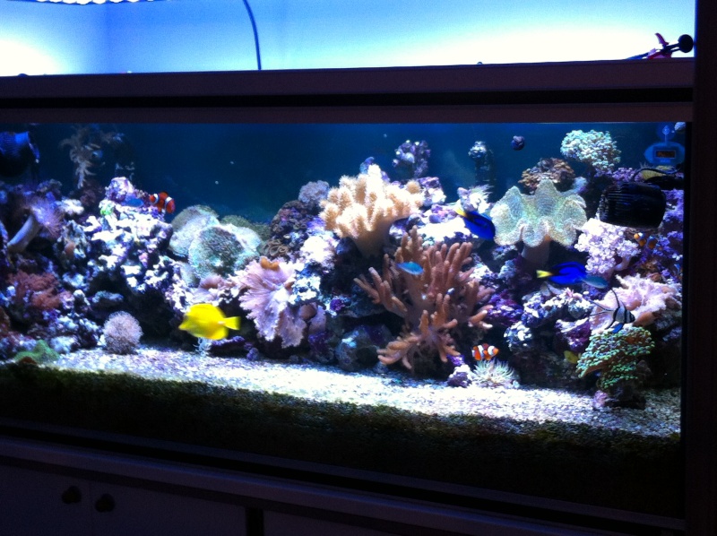 Projet Aqua 450 litres avec ARDUINO - Page 6 411