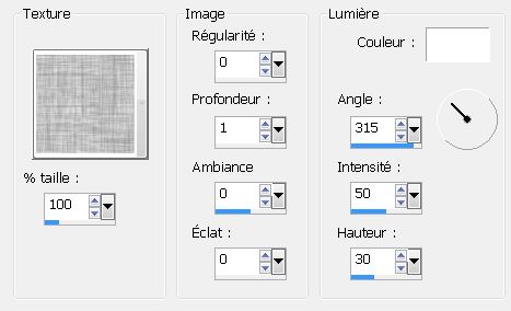 PSP - L'elfe Guerrière Textre10
