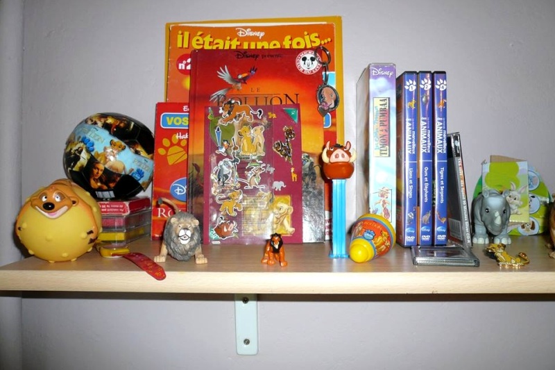 Mon Petit Nid Disney (Appartement Disney) 5910