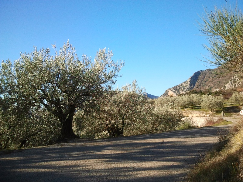 Aujourd'hui ca tournait autour du géant de Provence  . Photo112