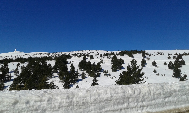 Sommet du Ventoux par la face sud 20150238