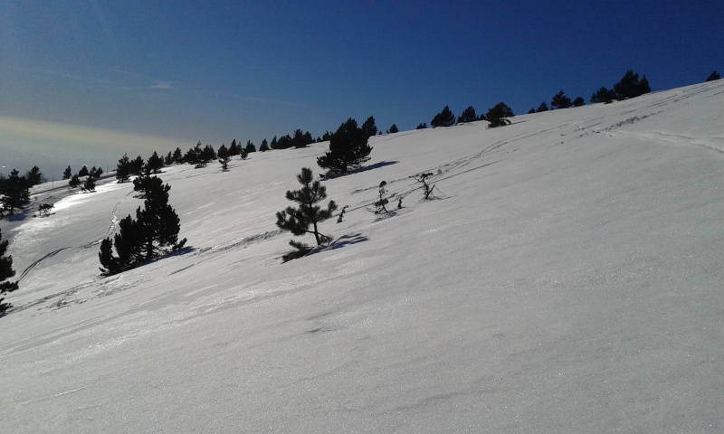 Sommet du Ventoux par la face sud 20150248