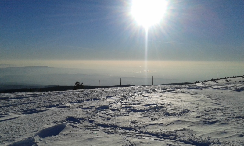 Sommet du Ventoux par la face sud 20150251