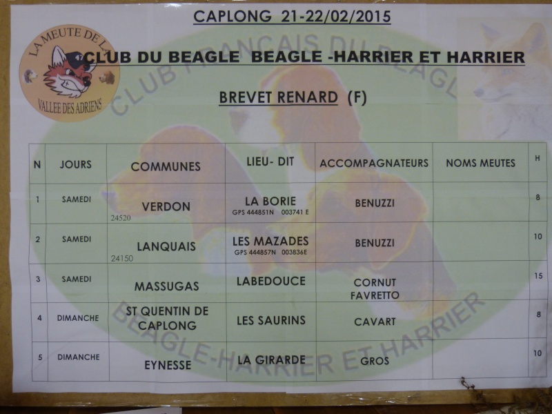 renard - BREVET DE CHASSE RENARD CAPLONG 2015 - Page 2 P1080812