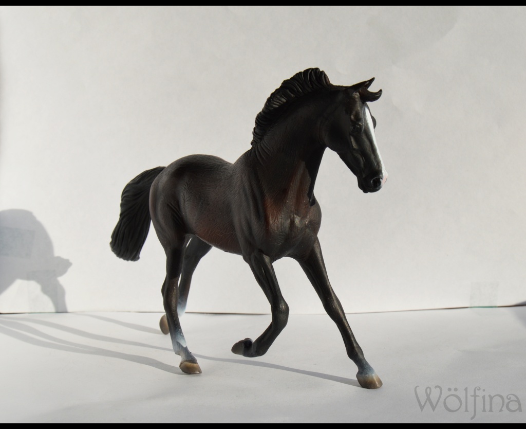 horses - 4 CollectA horses:Morgan, Standardbred Pacer Stallion, Clydestale, Thoroughbred Mare Dsc_1316