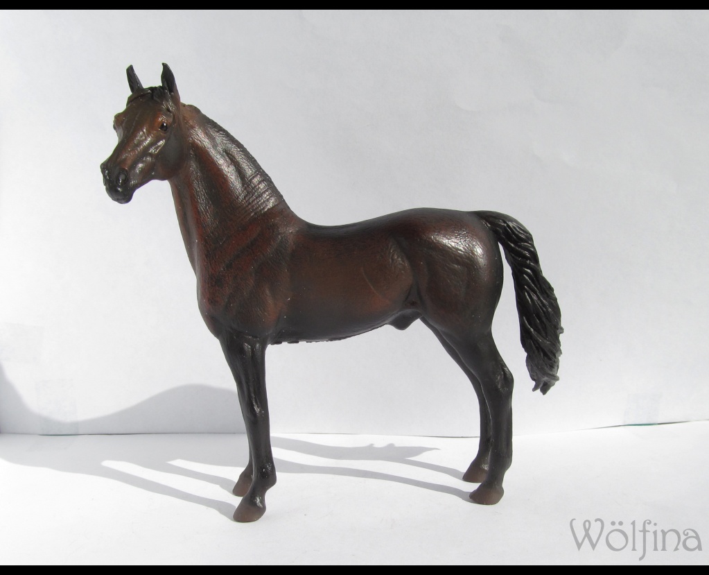 4 CollectA horses:Morgan, Standardbred Pacer Stallion, Clydestale, Thoroughbred Mare Img_6110