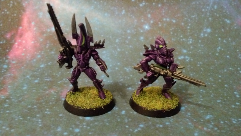 Dark Eldar Corsairs Img_2012