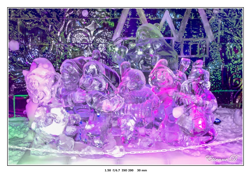 Statues de glace Dsc08225