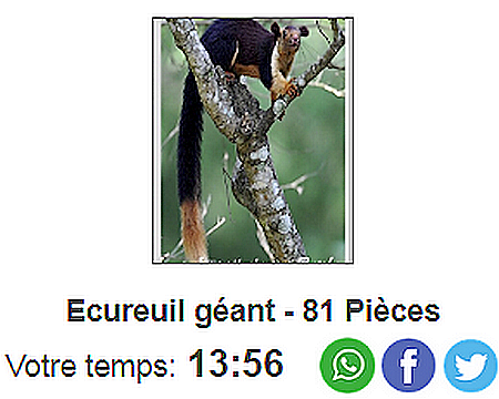 Les Ecureuils Ecurgz10