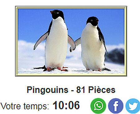 Pingouins photo Ping_f11