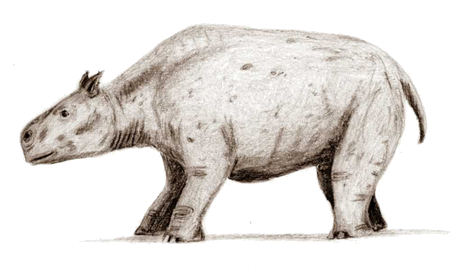     Toxodon Toxodo10