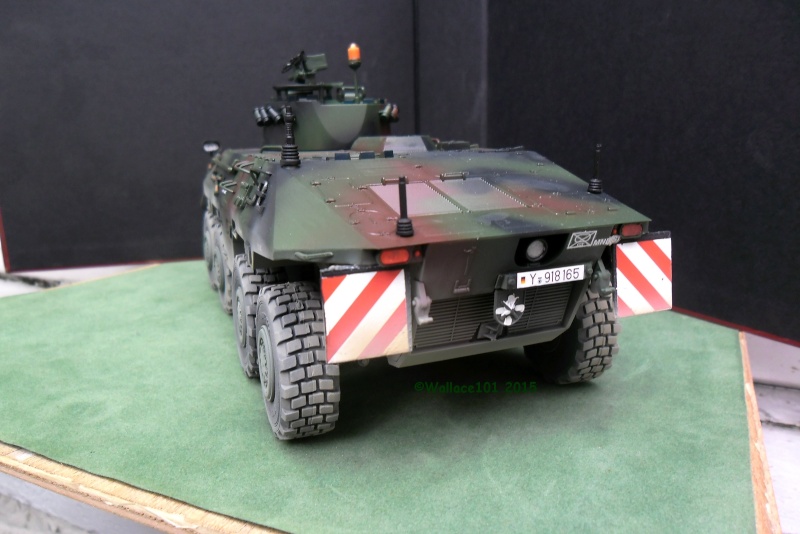 SpPz Luchs A2 KFOR Kosovo 2000 1/35 (Revell 03036) FINI!!! (photos in situ) - Page 4 01030012