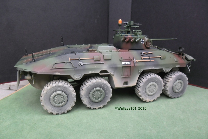 SpPz Luchs A2 KFOR Kosovo 2000 1/35 (Revell 03036) FINI!!! (photos in situ) - Page 4 01030013