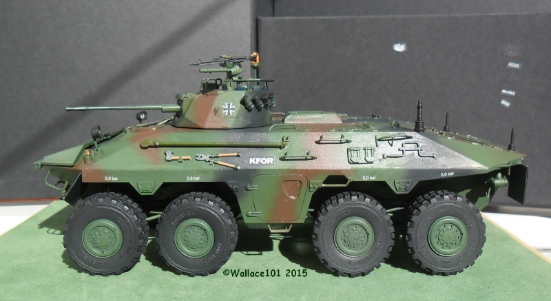 SpPz Luchs A2 KFOR Kosovo 2000 1/35 (Revell 03036) FINI!!! (photos in situ) - Page 4 0103_010