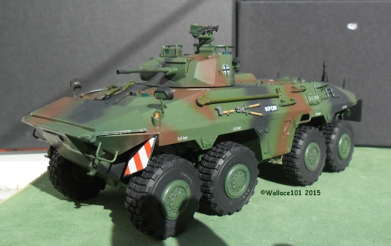 SpPz Luchs A2 KFOR Kosovo 2000 1/35 (Revell 03036) FINI!!! (photos in situ) - Page 4 0103_011