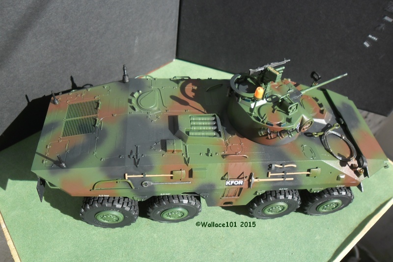 SpPz Luchs A2 KFOR Kosovo 2000 1/35 (Revell 03036) FINI!!! (photos in situ) - Page 4 0103_013