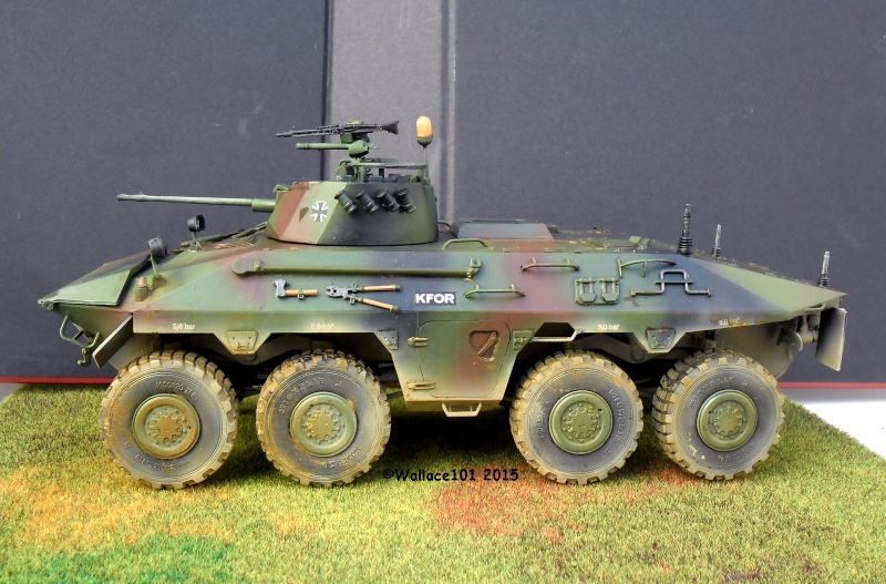 SpPz Luchs A2 KFOR Kosovo 2000 1/35 (Revell 03036) FINI!!! (photos in situ) - Page 6 0203_010