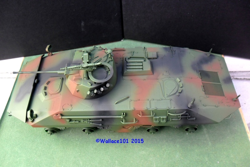 SpPz Luchs A2 KFOR Kosovo 2000 1/35 (Revell 03036) FINI!!! (photos in situ) - Page 3 2702_011