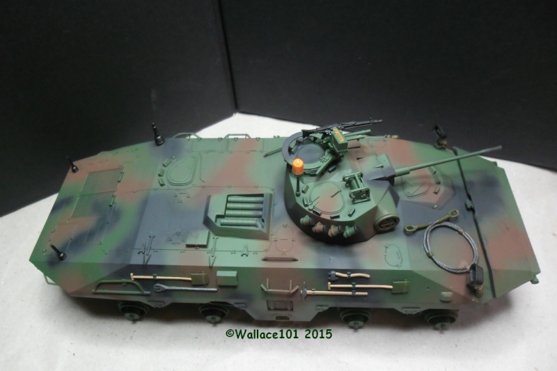 SpPz Luchs A2 KFOR Kosovo 2000 1/35 (Revell 03036) FINI!!! (photos in situ) - Page 4 28020011