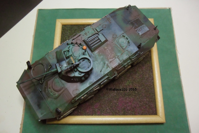 SpPz Luchs A2 KFOR Kosovo 2000 1/35 (Revell 03036) FINI!!! (photos in situ) - Page 5 Fin00112