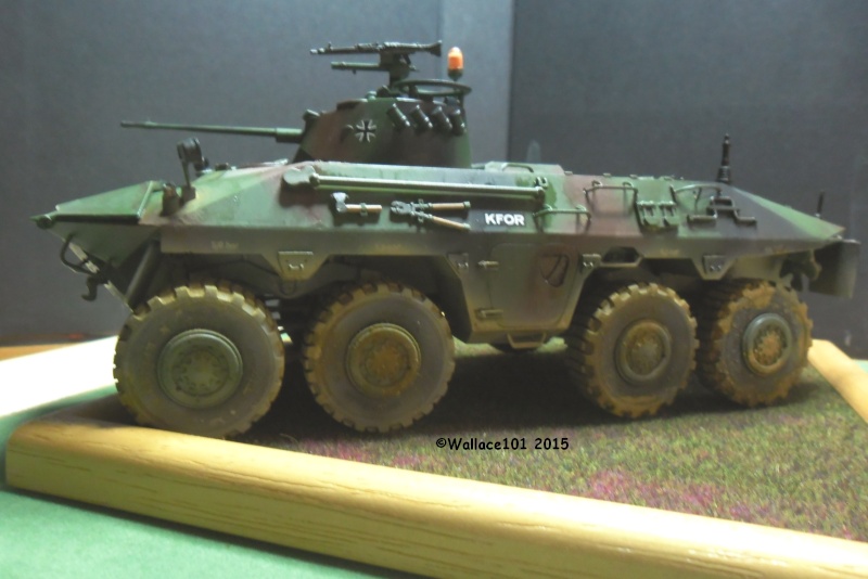 SpPz Luchs A2 KFOR Kosovo 2000 1/35 (Revell 03036) FINI!!! (photos in situ) - Page 5 Fin00212