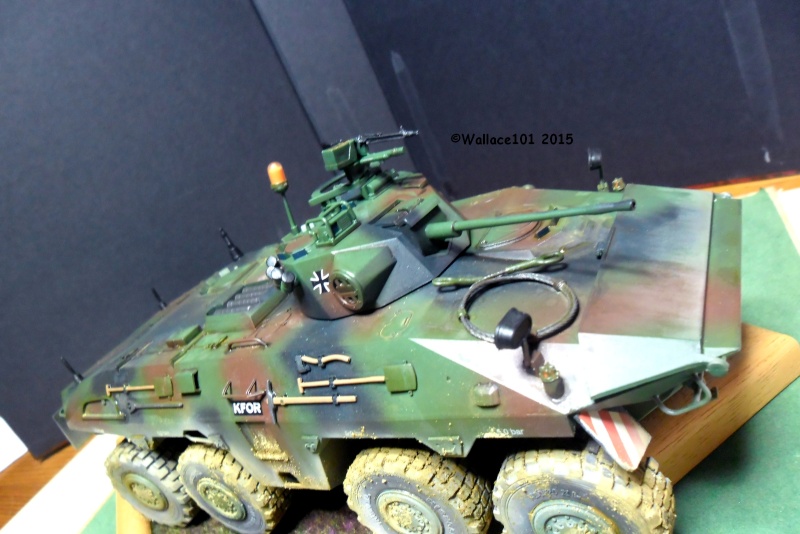 SpPz Luchs A2 KFOR Kosovo 2000 1/35 (Revell 03036) FINI!!! (photos in situ) - Page 5 Fin00412