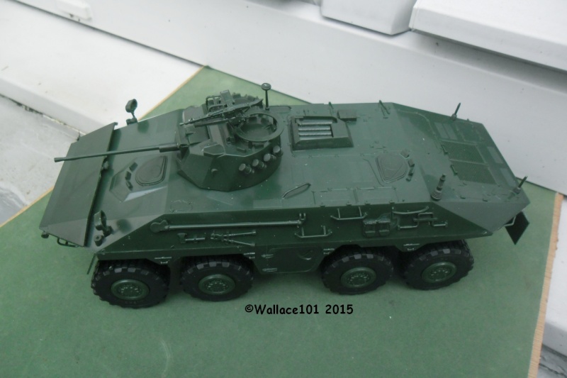SpPz Luchs A2 KFOR Kosovo 2000 1/35 (Revell 03036) FINI!!! (photos in situ) - Page 3 Fin_0014