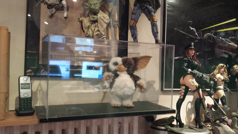 Daffy Mogwai Life size Reçuuuuuuuuu!!! - Page 4 20150210