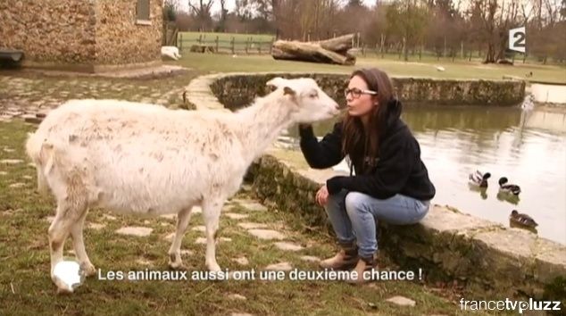 La ferme de Marie Antoinette, paradis des animaux Zanimo21