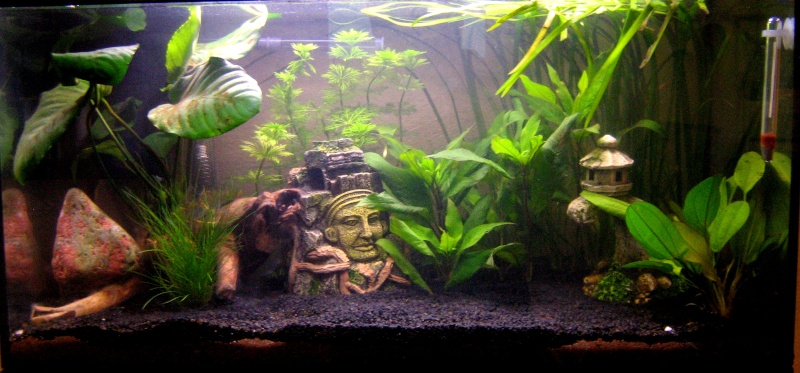 54l de Dadyeu Aqua110