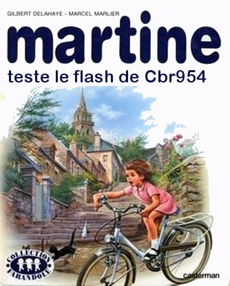 martine achète un MT 09 - Page 3 Martin12