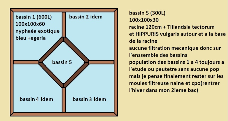 poisson - reamenagement de mon bassin de jardin - Page 4 Sans_t10