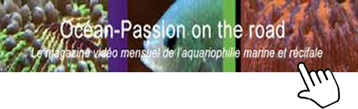Océan-Passion on the road Bannie10