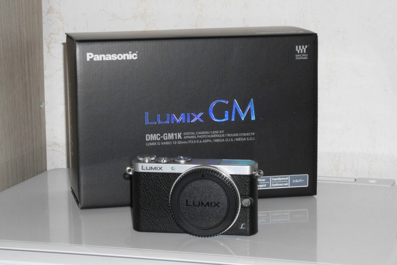 [Vendu] Panasonic GM1 P1080813