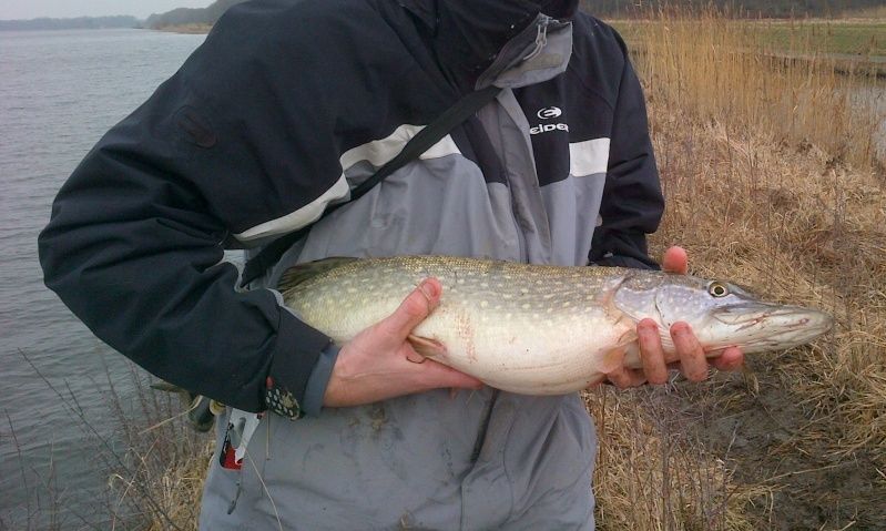 peche - Vos sorties de pêche en Janvier 2015 - Page 3 Broche13