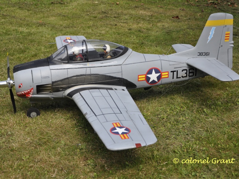 Mon T-28 aux couleurs de la VNAF _dsc0010