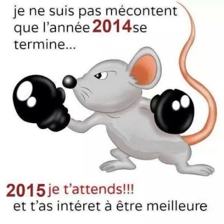 Bonne année 10403013