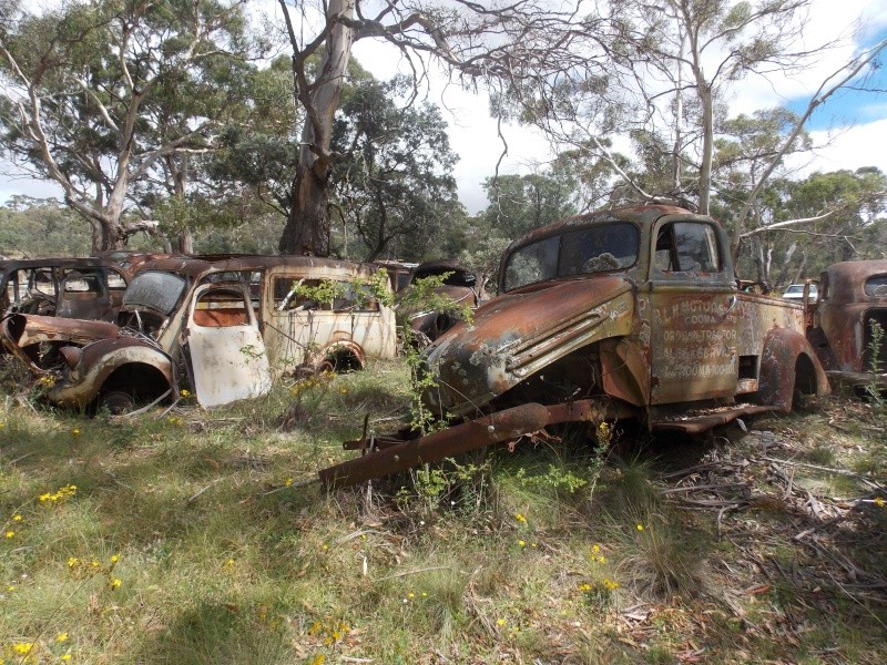 Covered in Rust - Page 2 Dscn3538