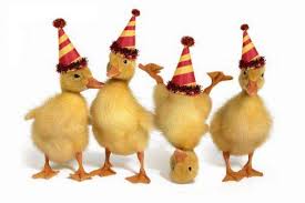 Anniversaire de notre canard ! Index10