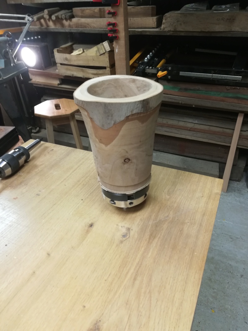 Un vase en eucalyptus - Page 2 Img_2359