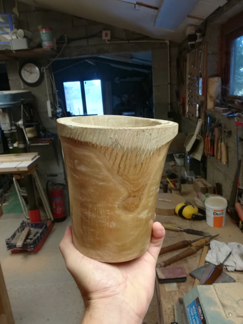 Un vase en eucalyptus - Page 2 Img_2361