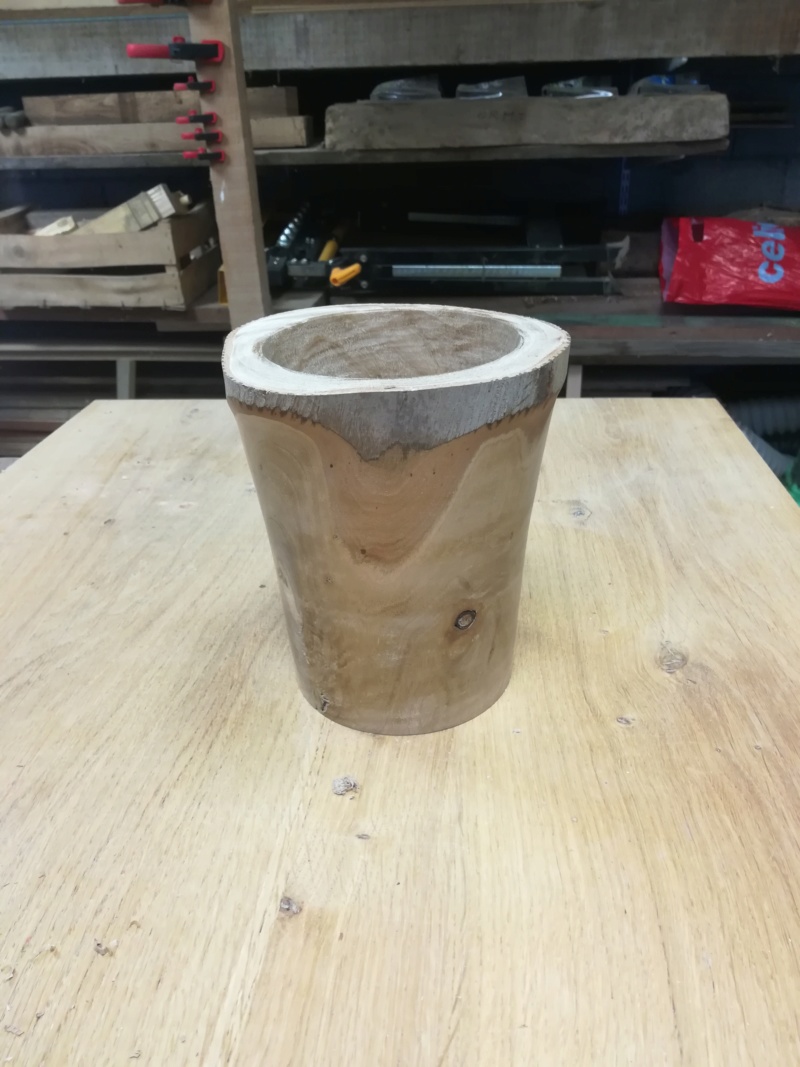 Un vase en eucalyptus - Page 2 Img_2363