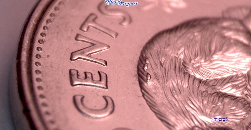 2008 - Éclat de Coin, éclats variante sur le  Revers (Die Chips) 5_cen173