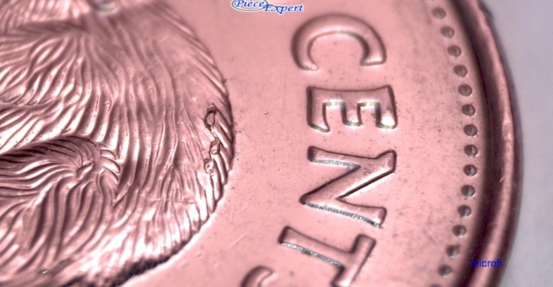 2008 - Éclat de Coin sur le Dos du Castor (Die Chip) 5_cen191