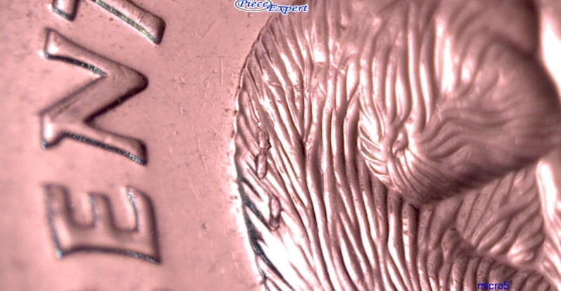 2008 - Éclat de Coin sur le Dos du Castor (Die Chip) 5_cen194