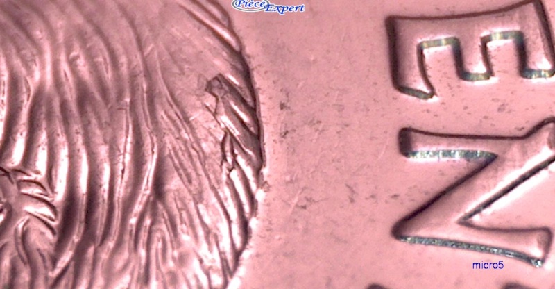 2008 - Éclat de Coin sur le Dos du Castor (Die Chip) 5_cen198